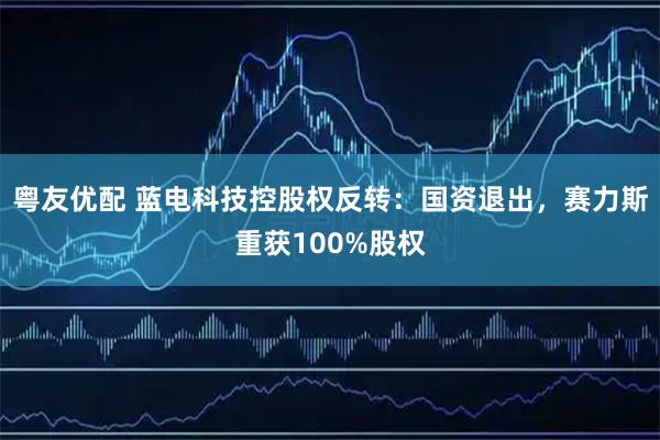 粤友优配 蓝电科技控股权反转：国资退出，赛力斯重获100%股权